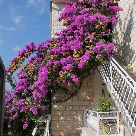 With Parking Space Supetar, Brac - 5385