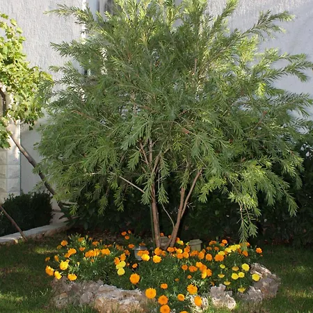 With Parking Space Supetar, Brac - 5385 Apartamento Supetar